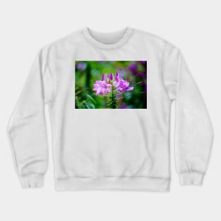 Purple Spider Flower Crewneck Sweatshirt